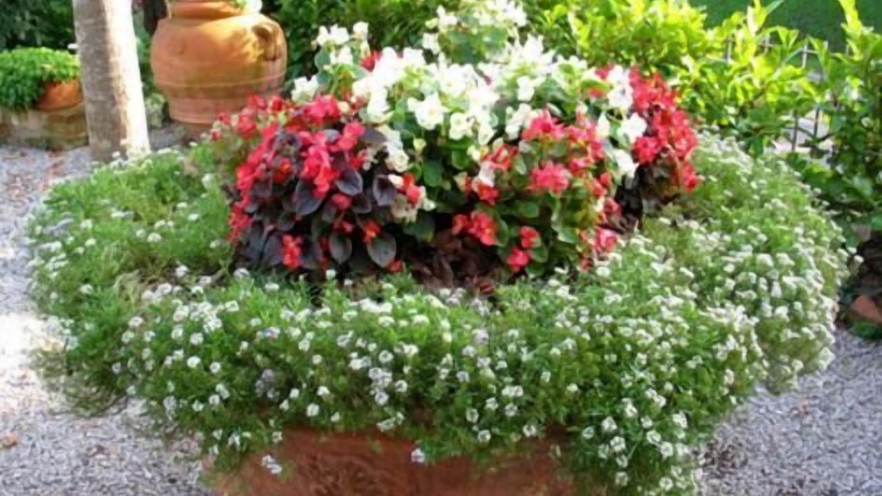 Photo of Outdoor in Asciano