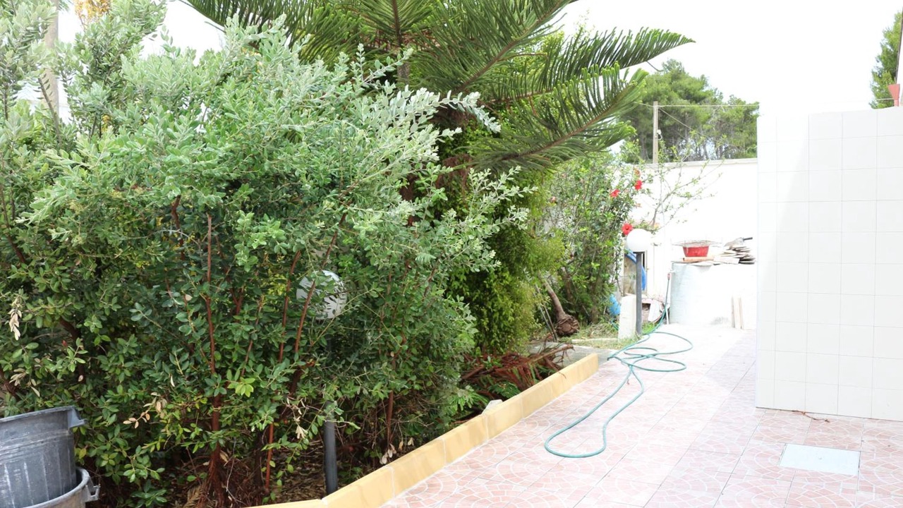 Photo of Outdoor in Torre Specchia Ruggeri