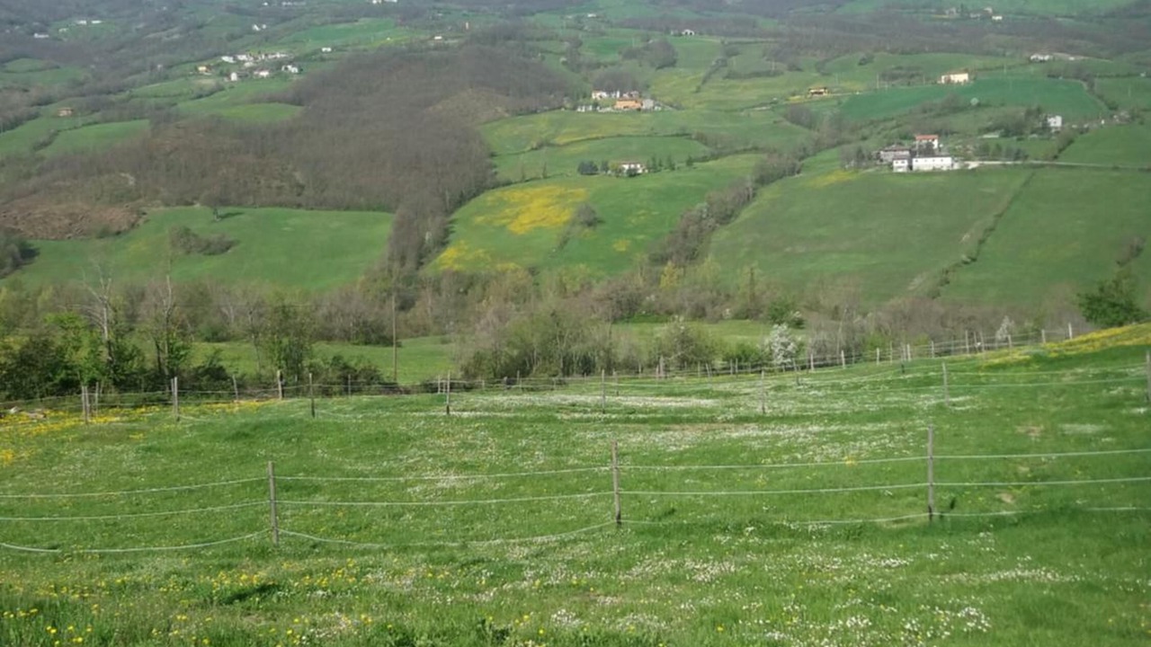 Photo of Outdoor in Castiglione dei Pepoli