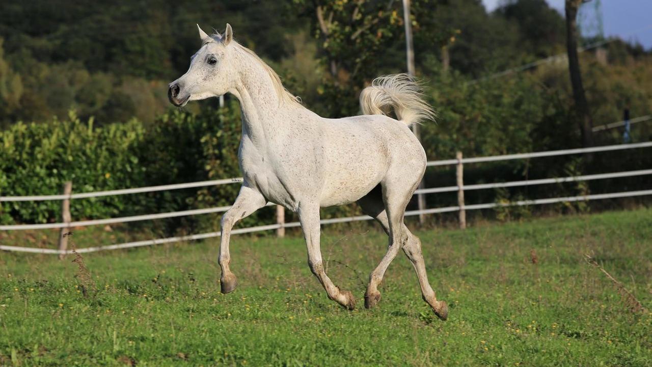 Photo of Outdoor in Castiglione dei Pepoli