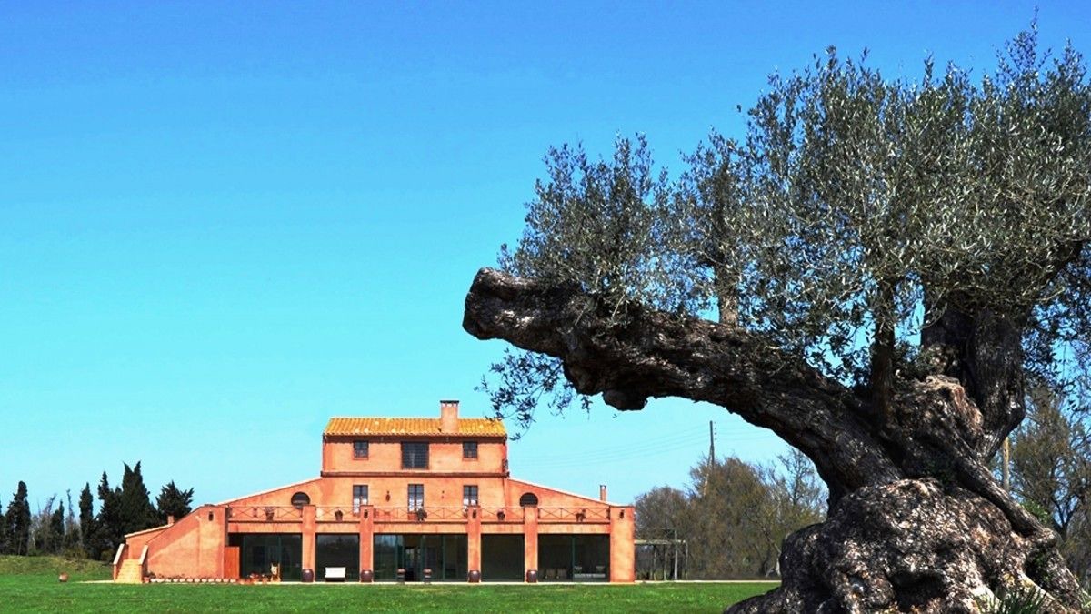 Photo of Outdoor in Sant Pere Pescador