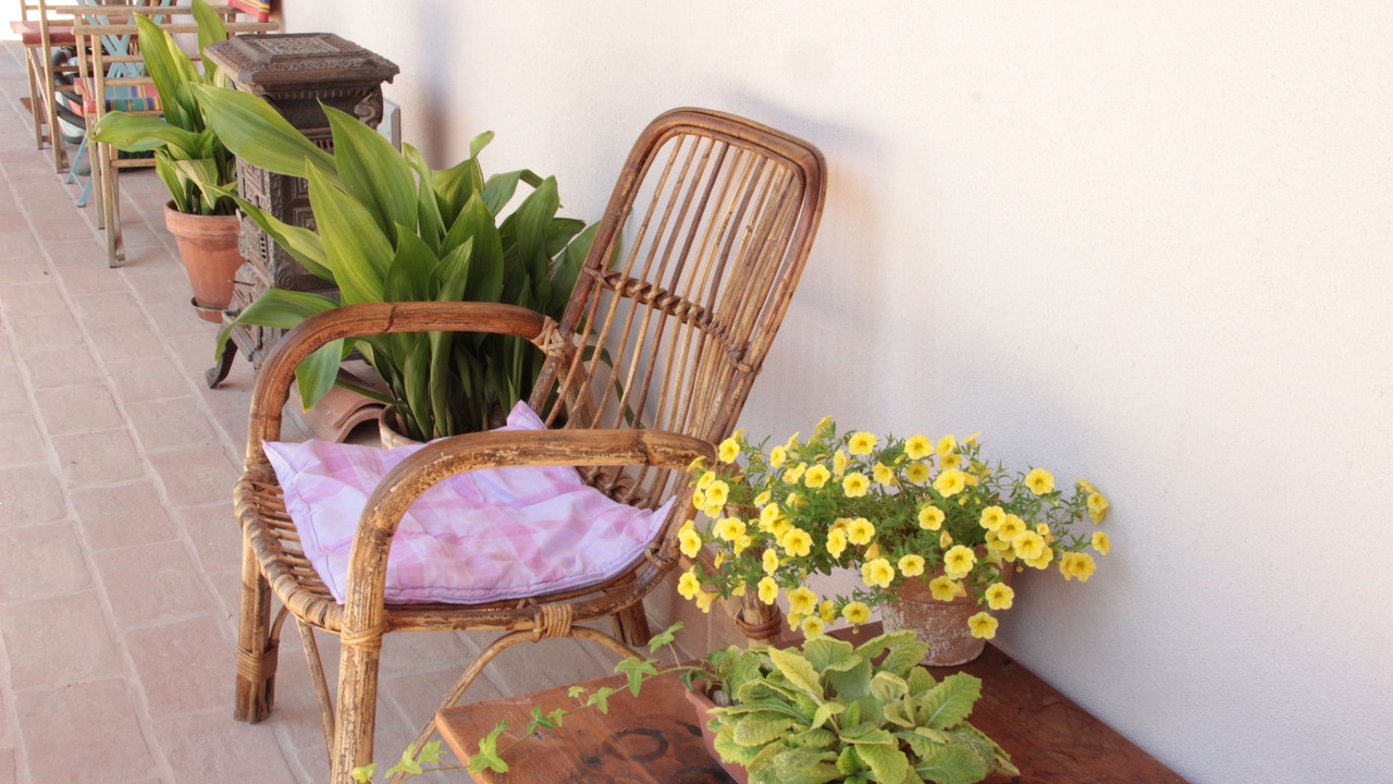 Photo of Outdoor in Morrovalle