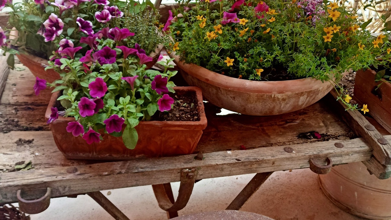 Photo of Outdoor in San Pietro in Lama