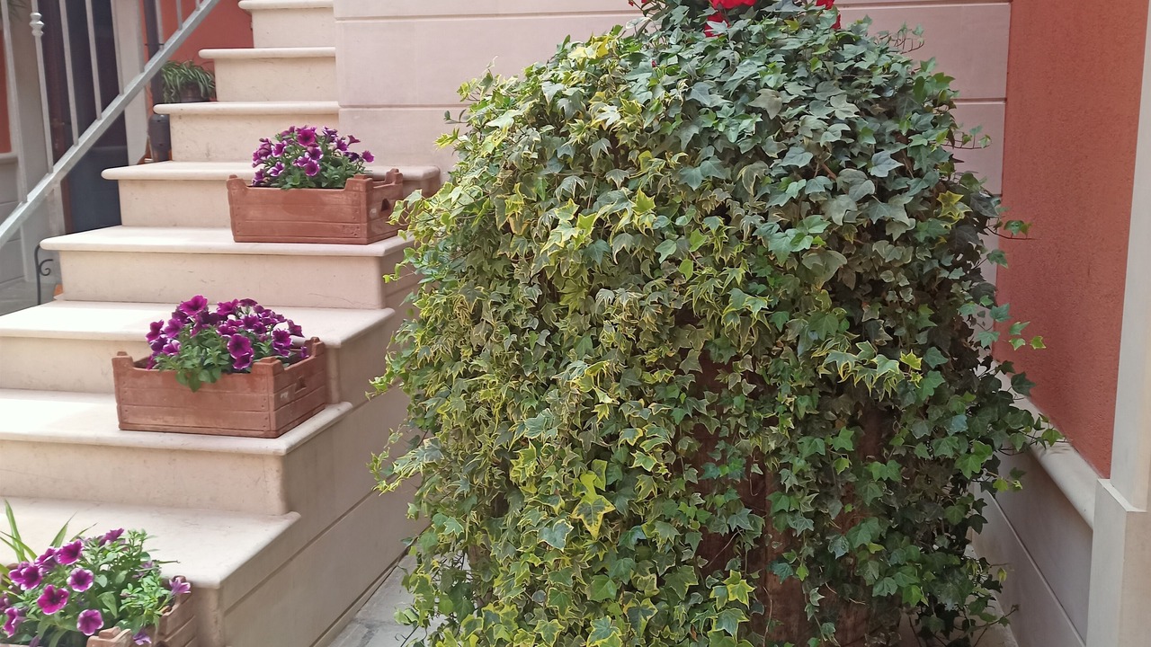 Photo of Outdoor in San Pietro in Lama