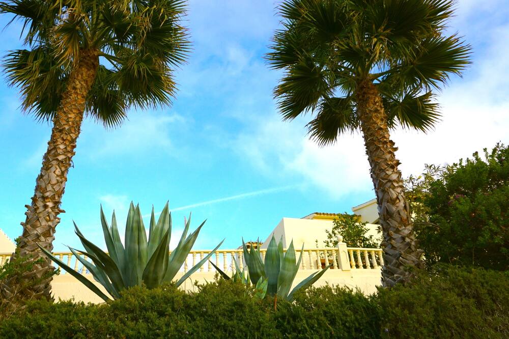 Photo of Outdoor in Paratella