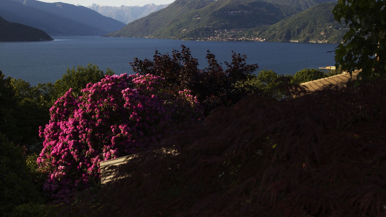 Photo of Outdoor in Brezzo di Bedero