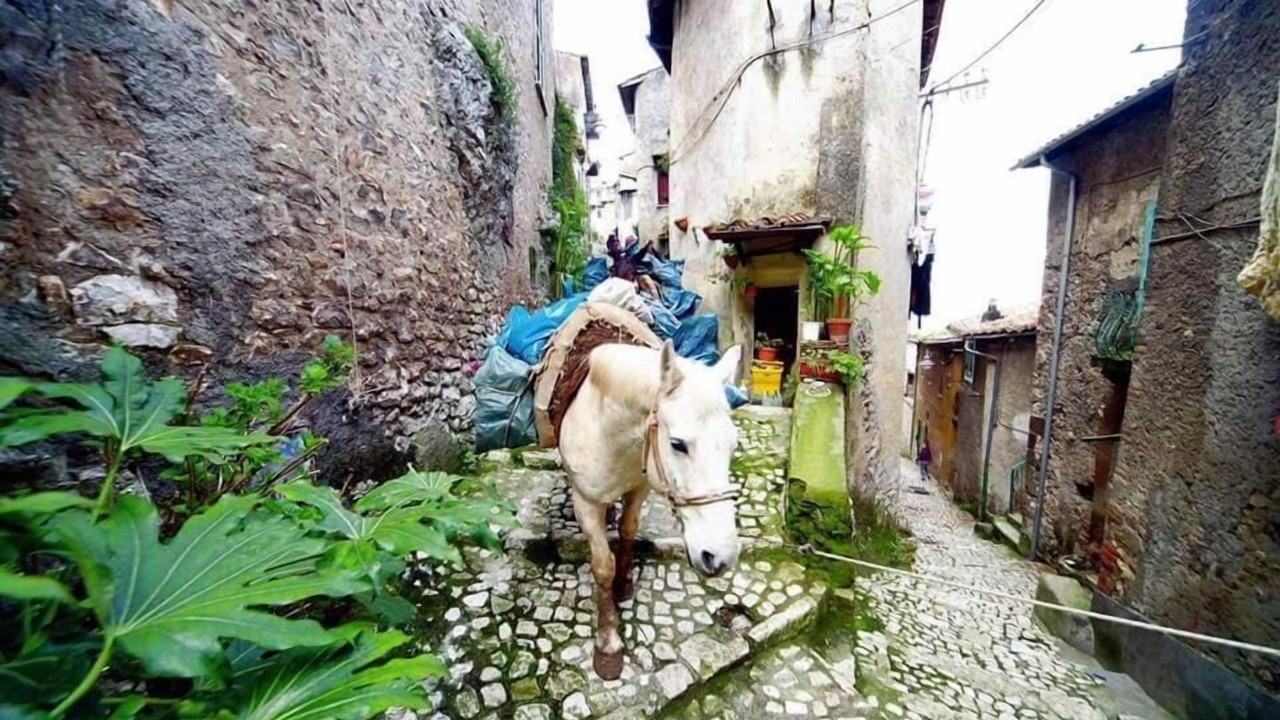Photo of Outdoor in Artena
