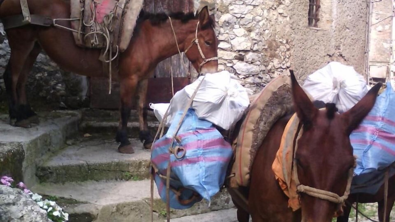 Photo of Outdoor in Artena