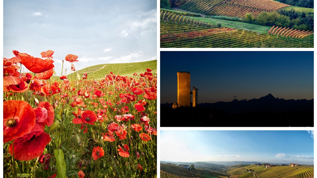 Photo of Outdoor in Barbaresco