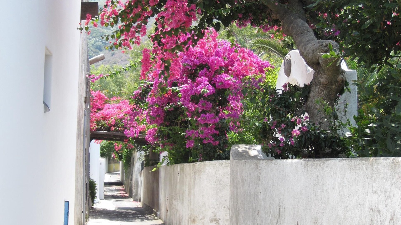 Photo of Outdoor in Piscita