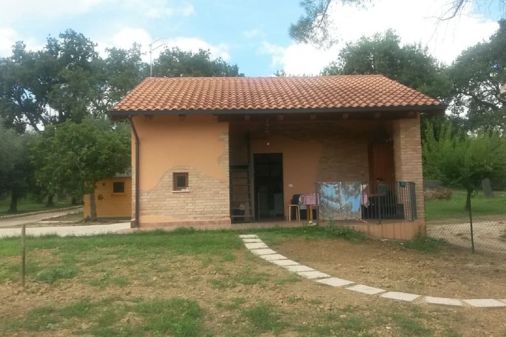 Photo of Others in Loreto Aprutino