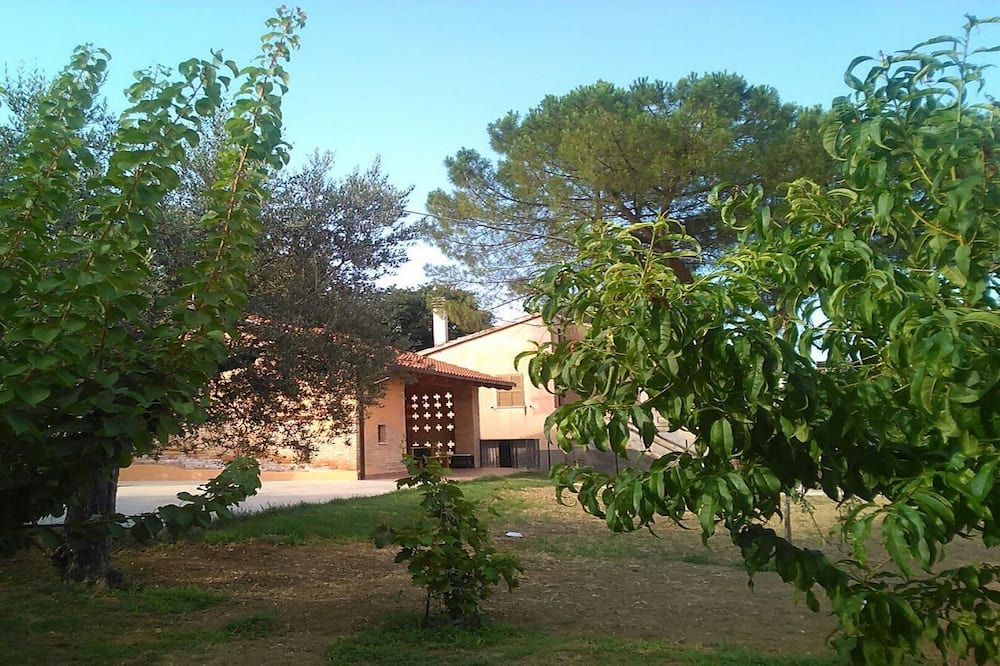 Photo of Others in Loreto Aprutino