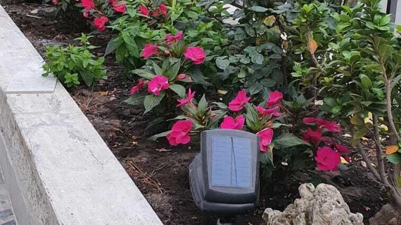 Photo of Outdoor in Laura