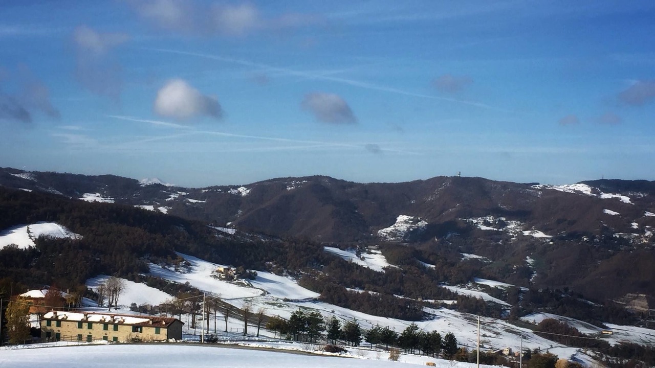 Photo of Outdoor in Loiano