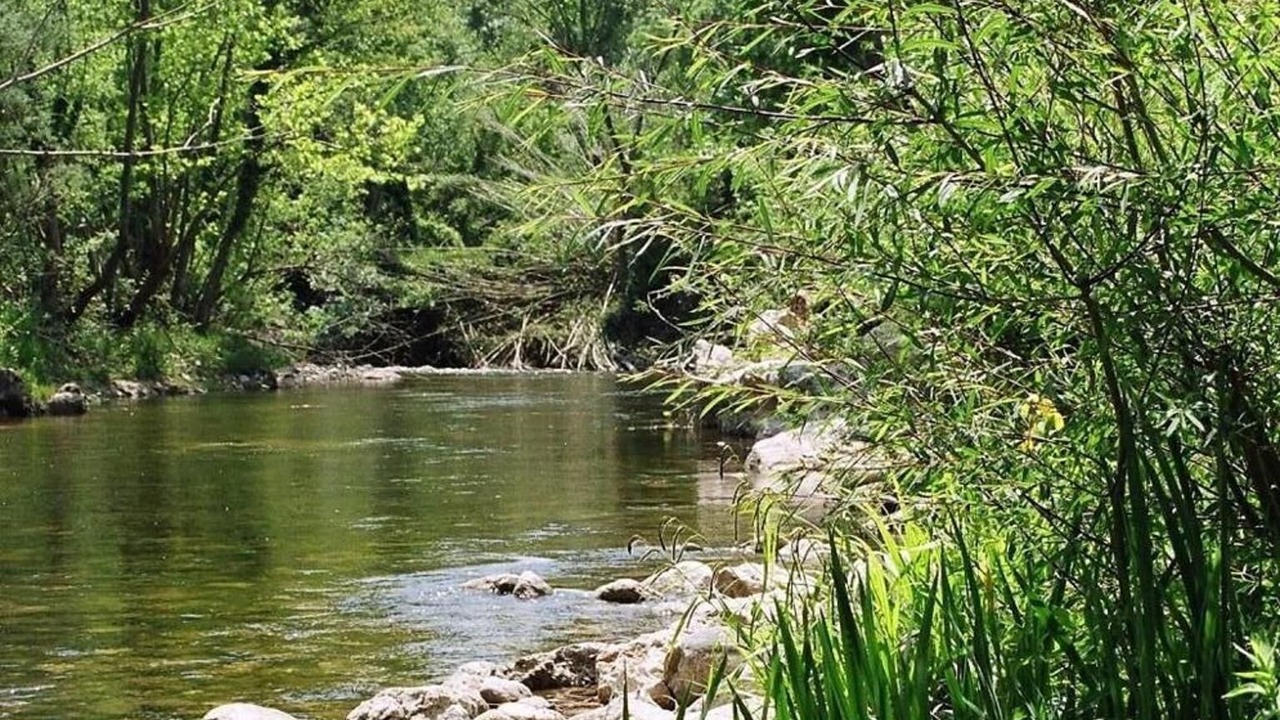 Photo of Outdoor in Pont de Molins