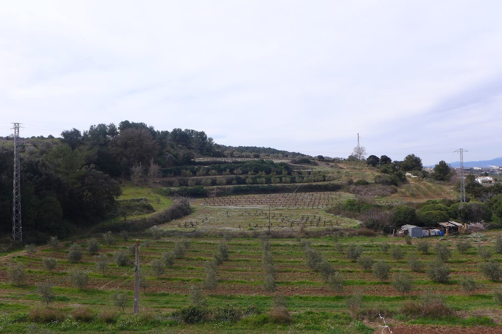 Photo of Bedroom in Avinyonet del Penedes