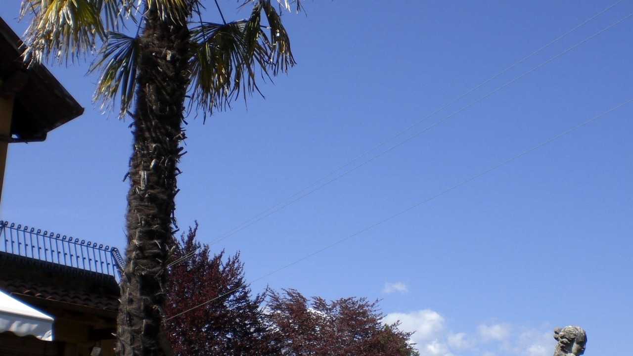Photo of Outdoor in Gignese