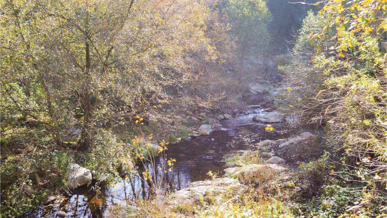 Photo of Outdoor in Osor