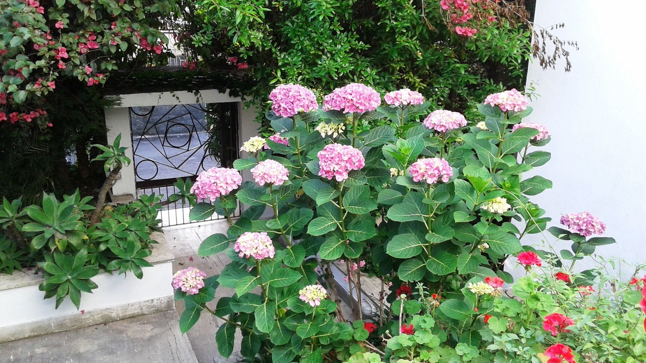 Photo of Outdoor in Trecase