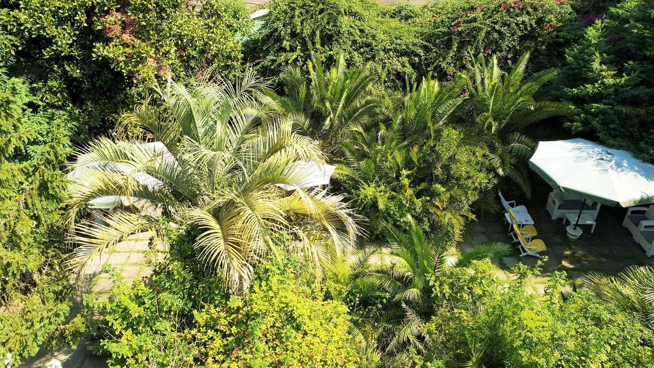 Photo of Outdoor in Trecase