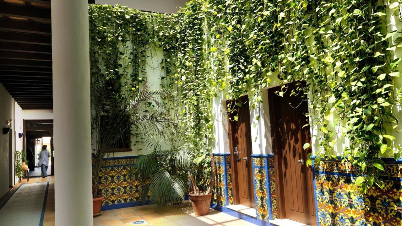 Photo of Patio Balcony in Zahara de los Atunes