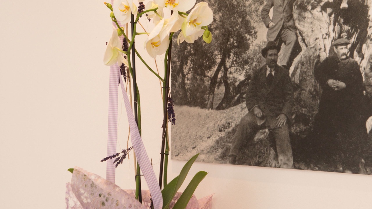 Photo of Bedroom in Horta de Sant Joan