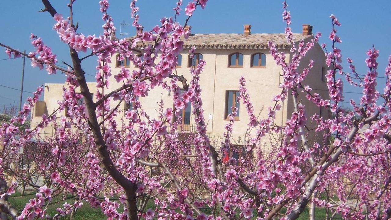 Photo of Outdoor in Benissanet