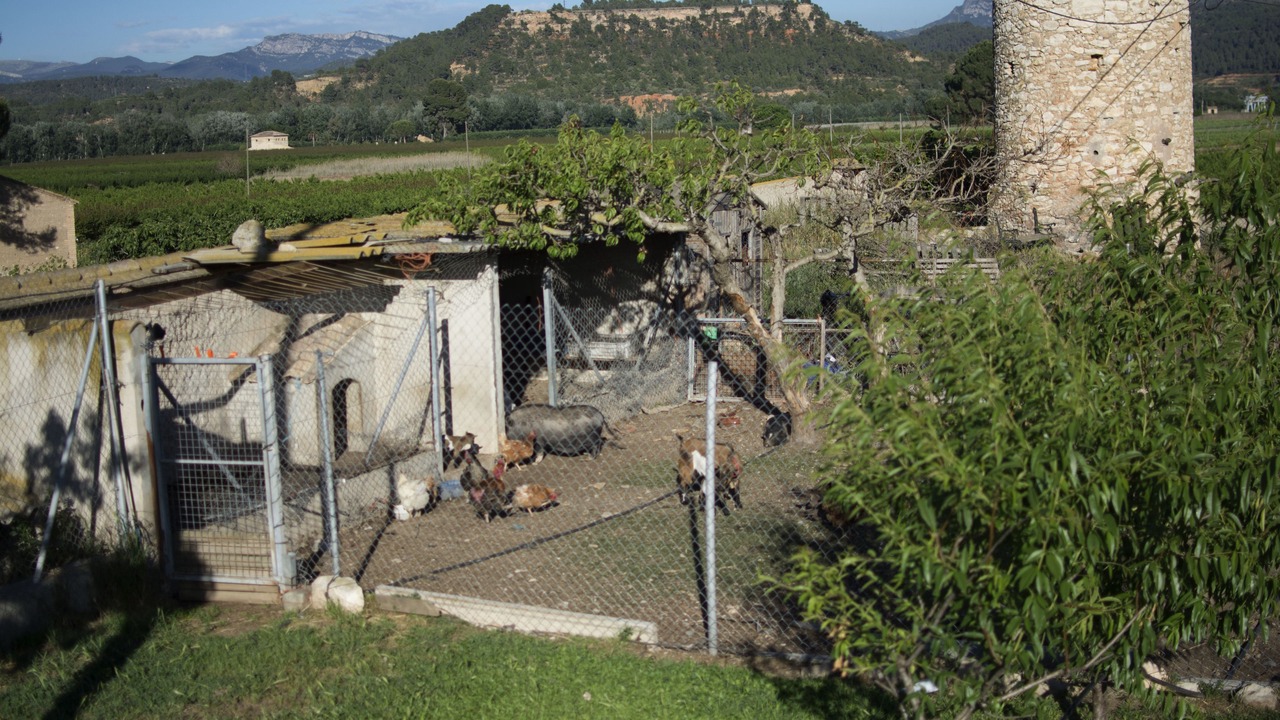Photo of Outdoor in Benissanet
