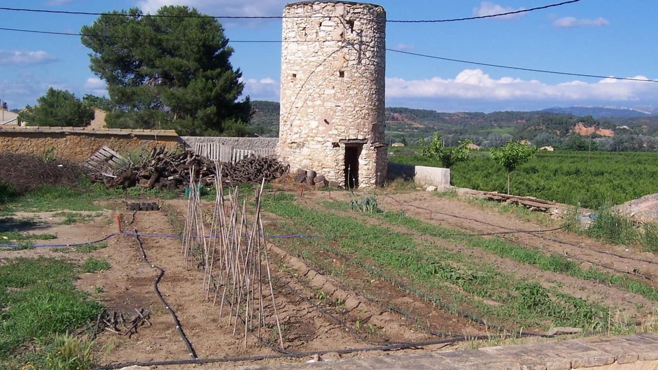 Photo of Outdoor in Benissanet