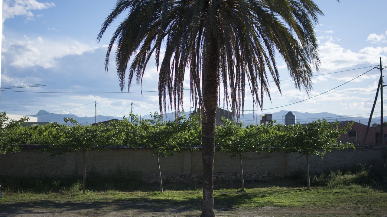Photo of Others in Benissanet