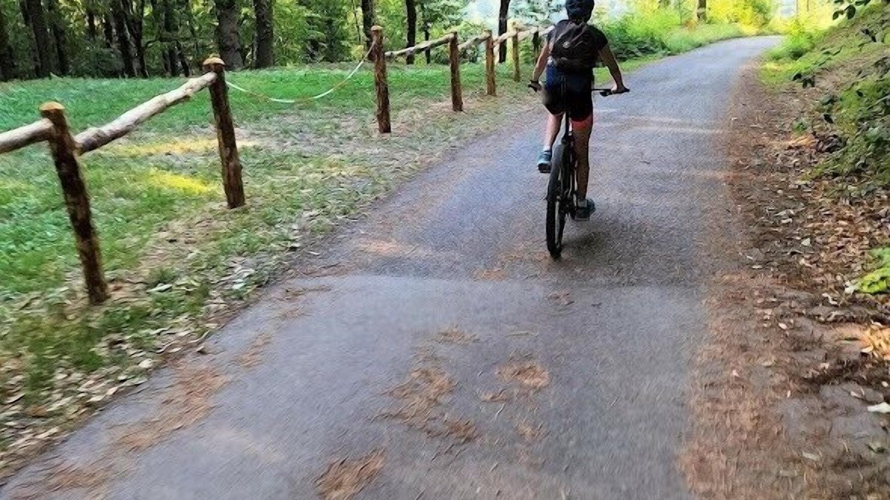 Photo of Outdoor in Mondovi