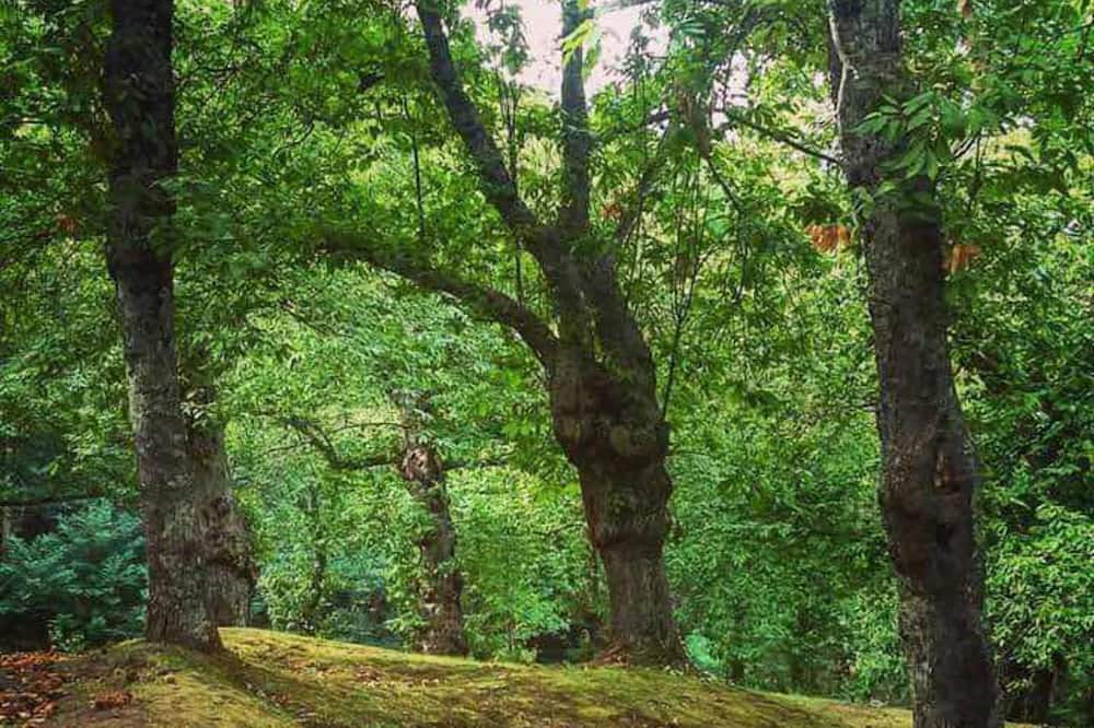 Photo of Outdoor in Marzano Appio