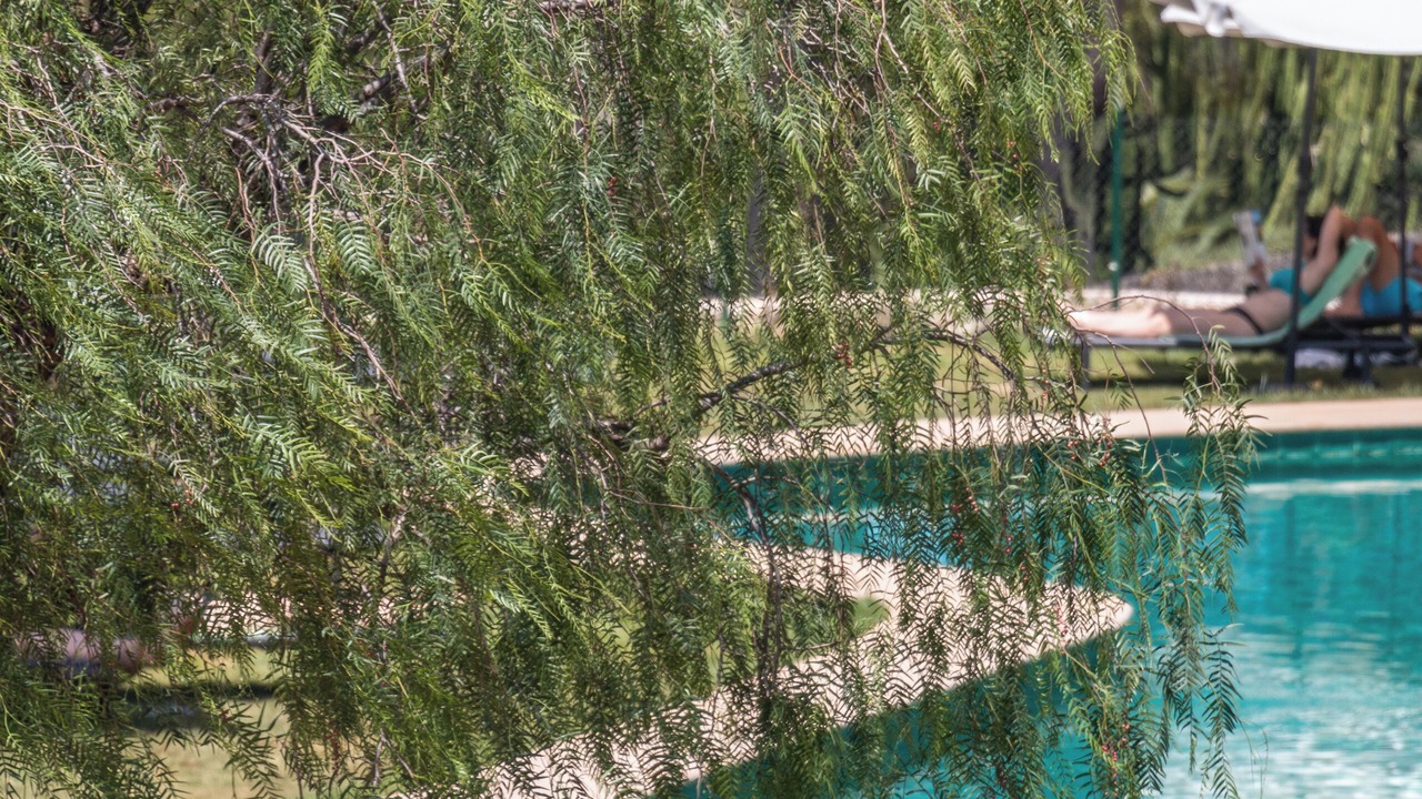 Photo of Outdoor in Moraira
