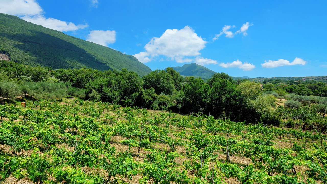 Photo of Outdoor in Trentinara