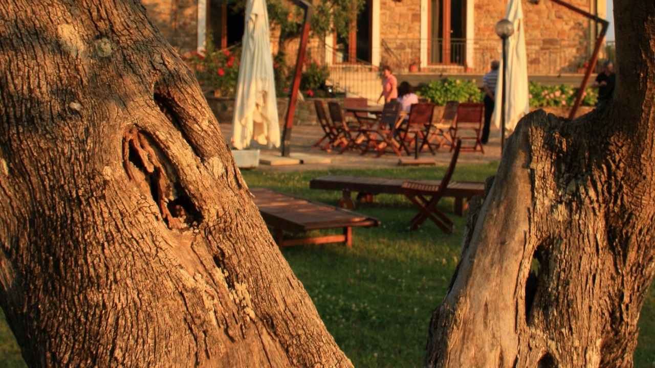 Photo of Outdoor in Trentinara
