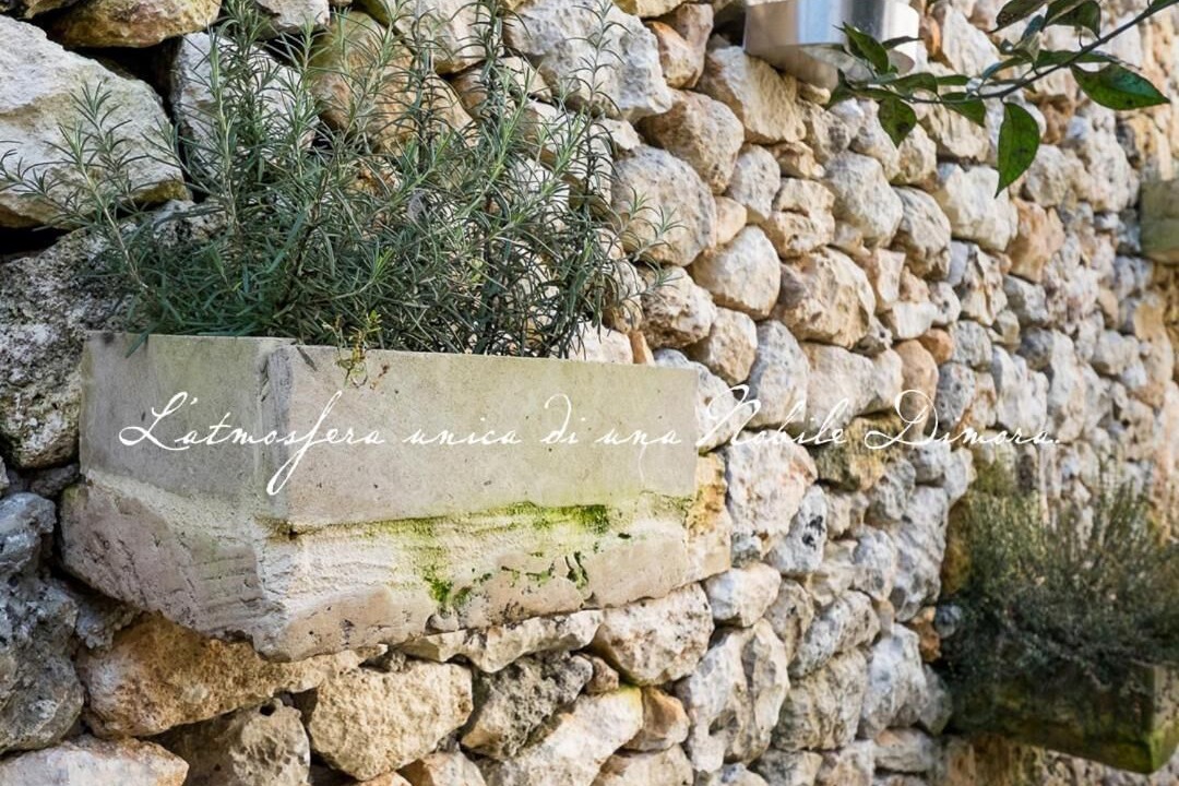Photo of Outdoor in Minervino di Lecce