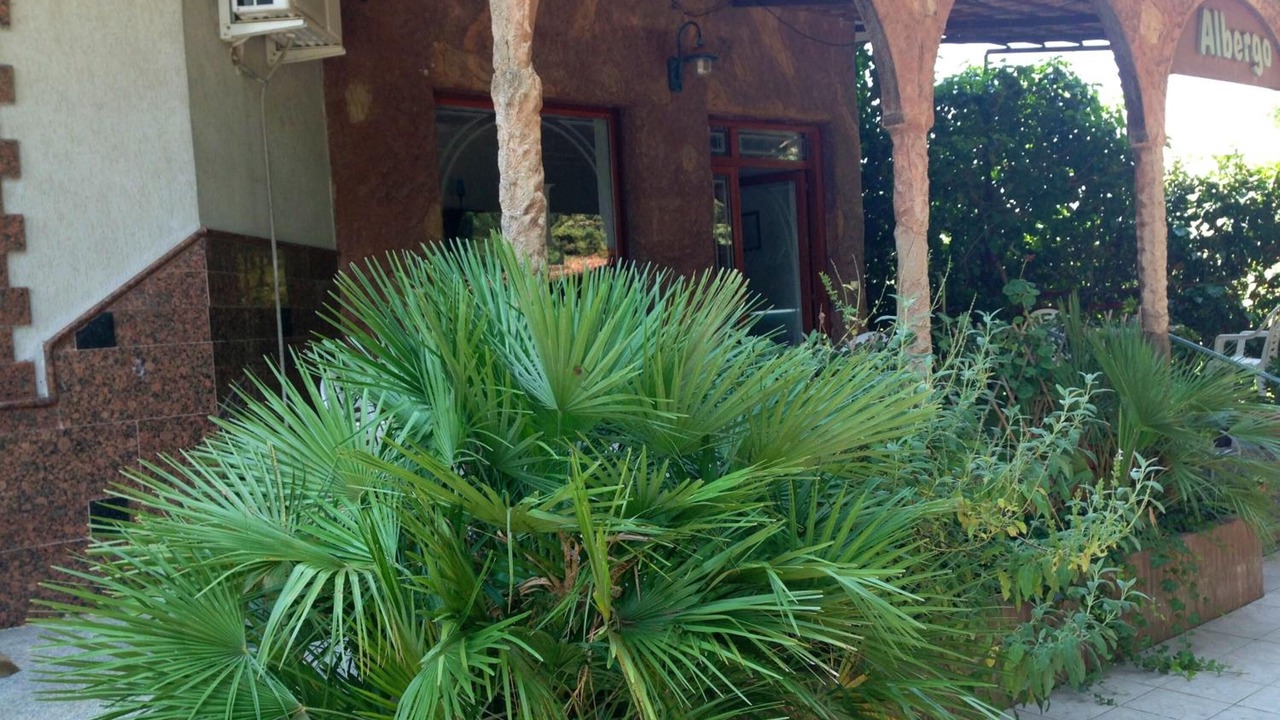 Photo of Outdoor in Telese