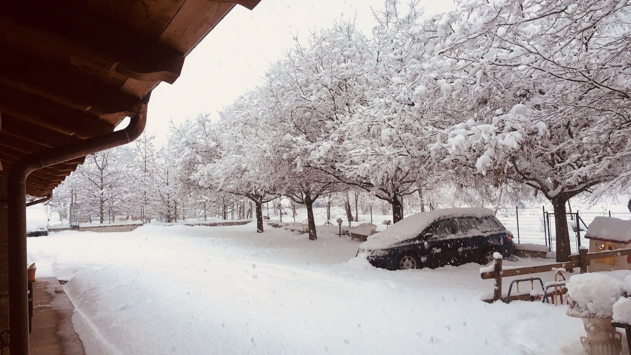 Photo of Outdoor in Revello