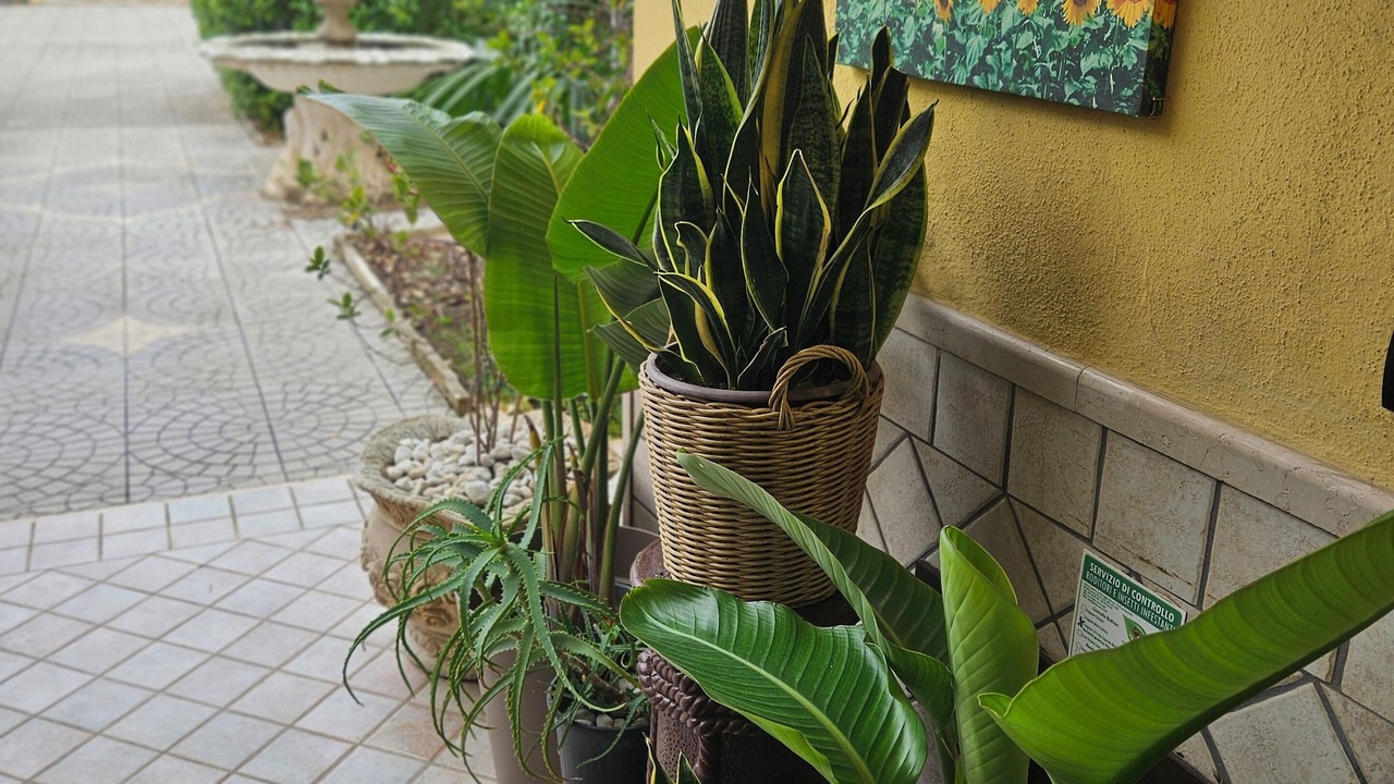 Photo of Outdoor in Capua