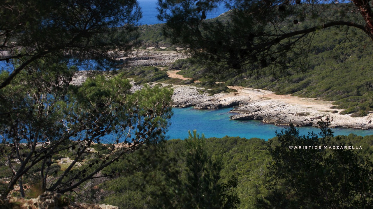Photo of Others in Santa Caterina