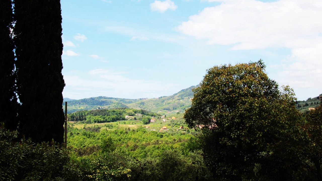 Photo of Others in San Michele di Moriano