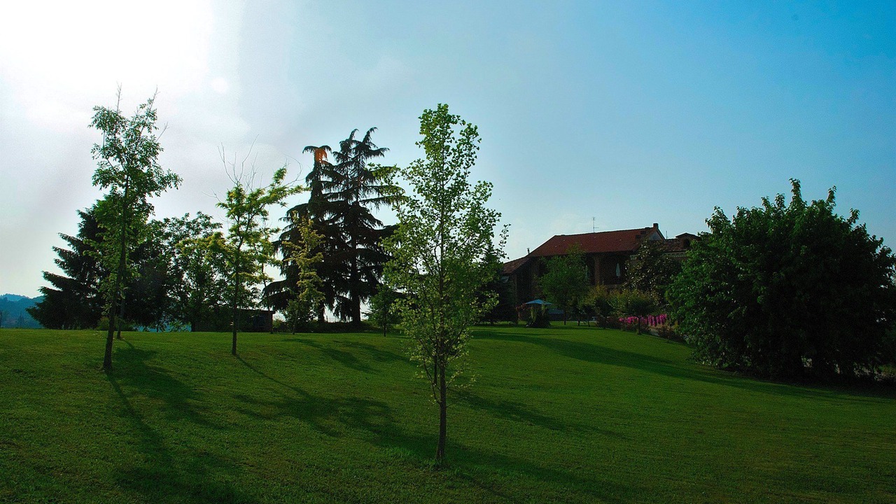 Photo of Outdoor in Cereseto