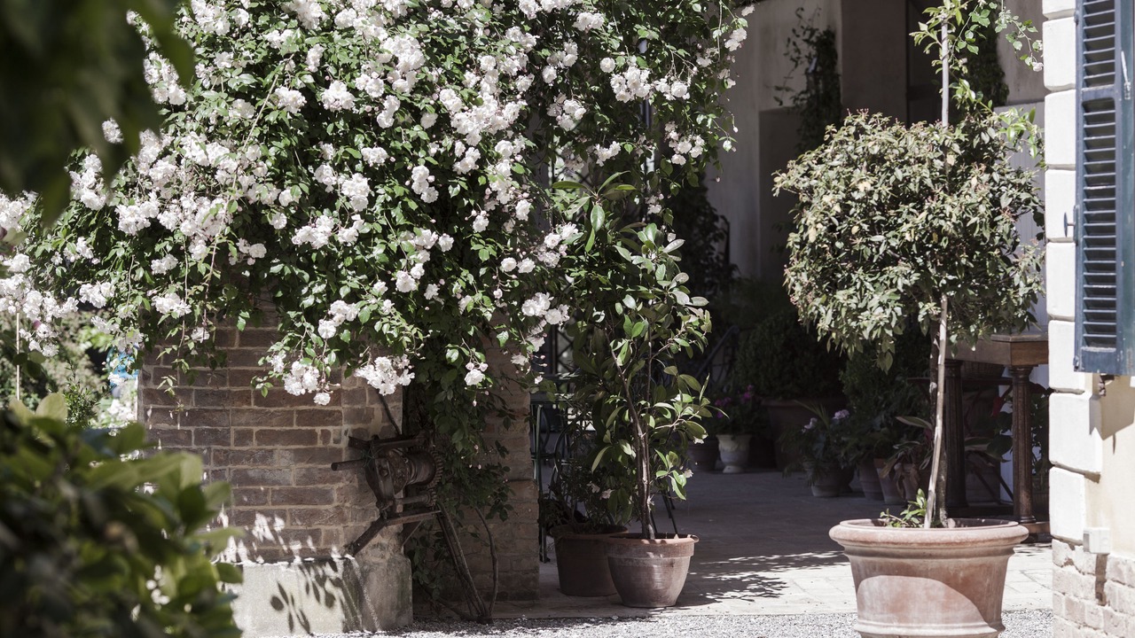 Photo of Outdoor in Cittadella