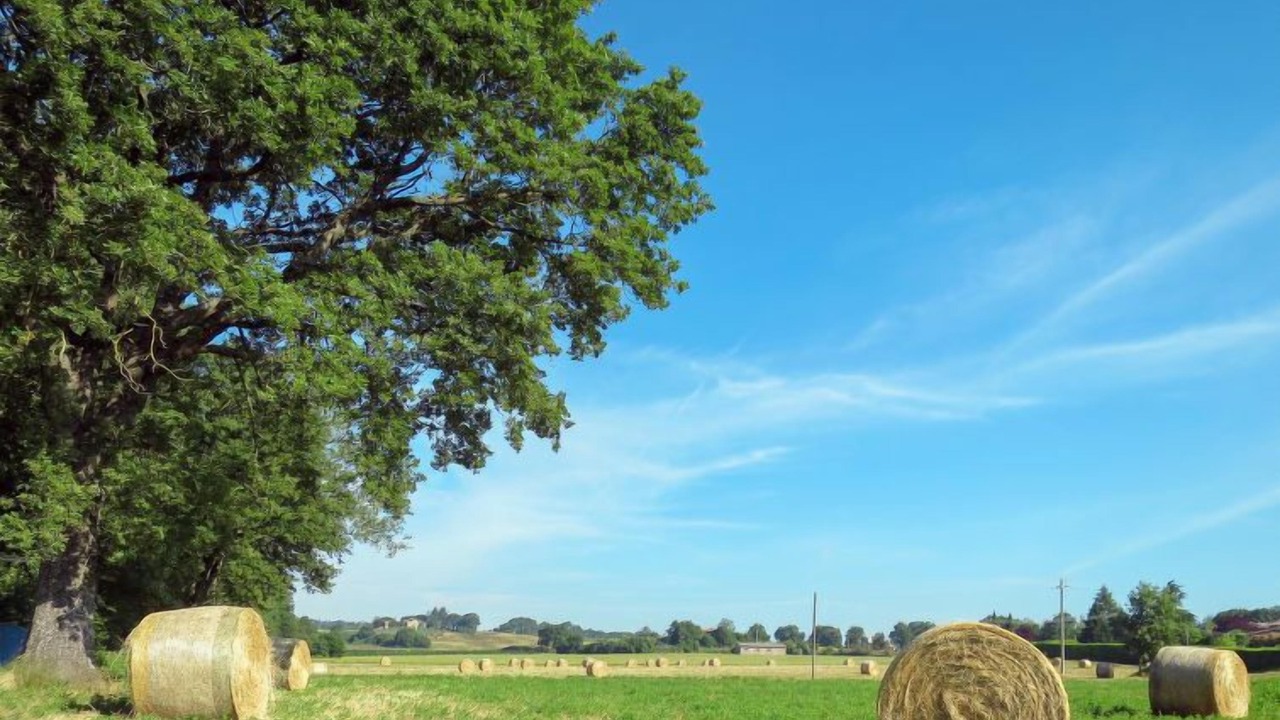 Photo of Outdoor in Orvieto