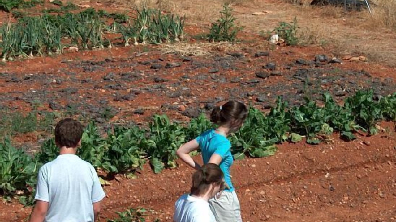 Photo of Outdoor in Moratalla