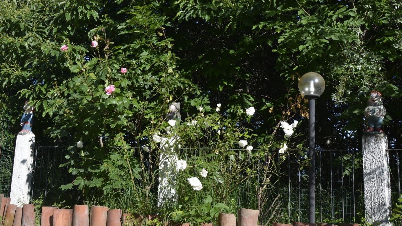 Photo of Outdoor in Castellamonte