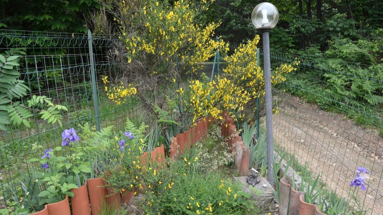 Photo of Outdoor in Castellamonte