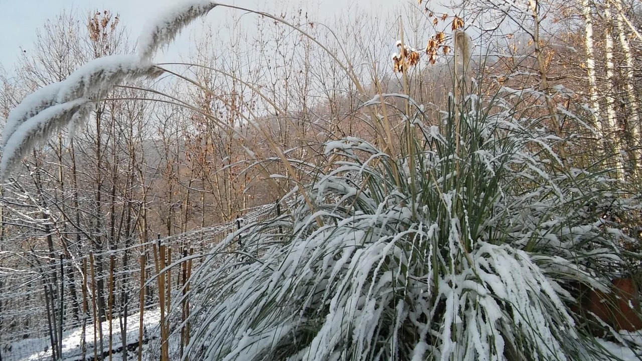 Photo of Outdoor in Castellamonte