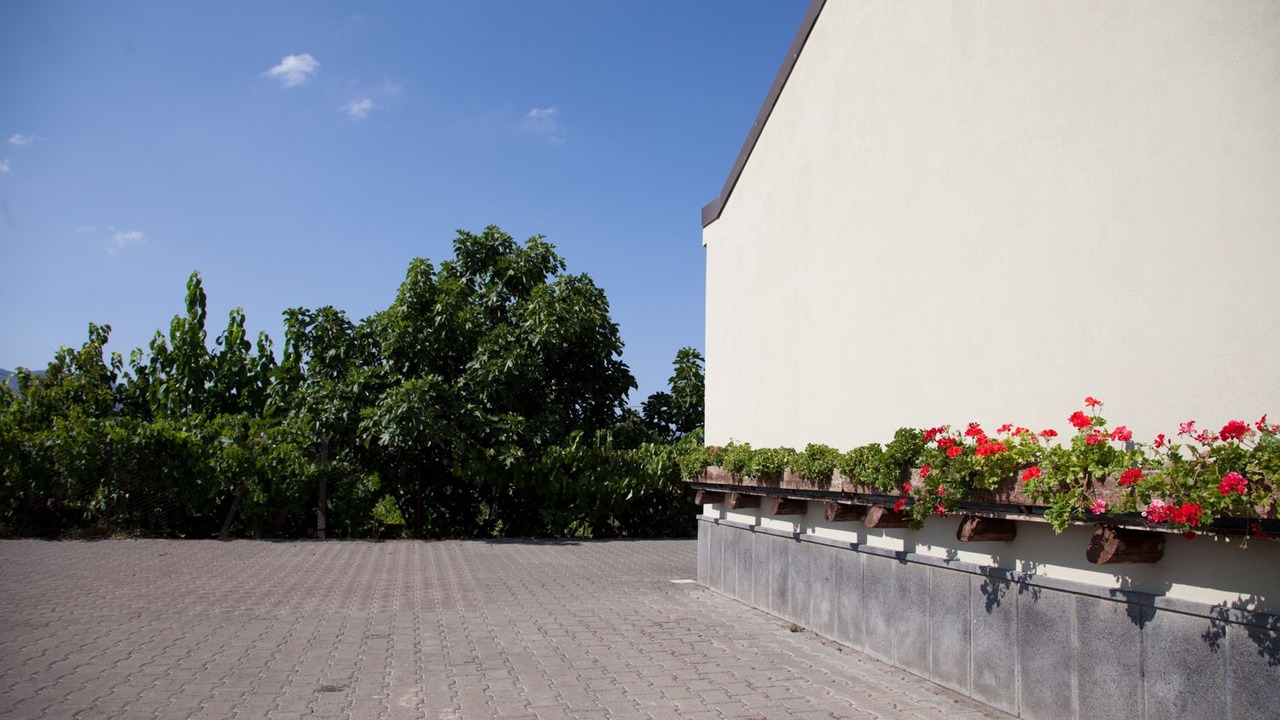 Photo of Outdoor in Montelaguardia