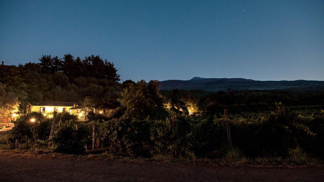 Photo of Outdoor in Montelaguardia